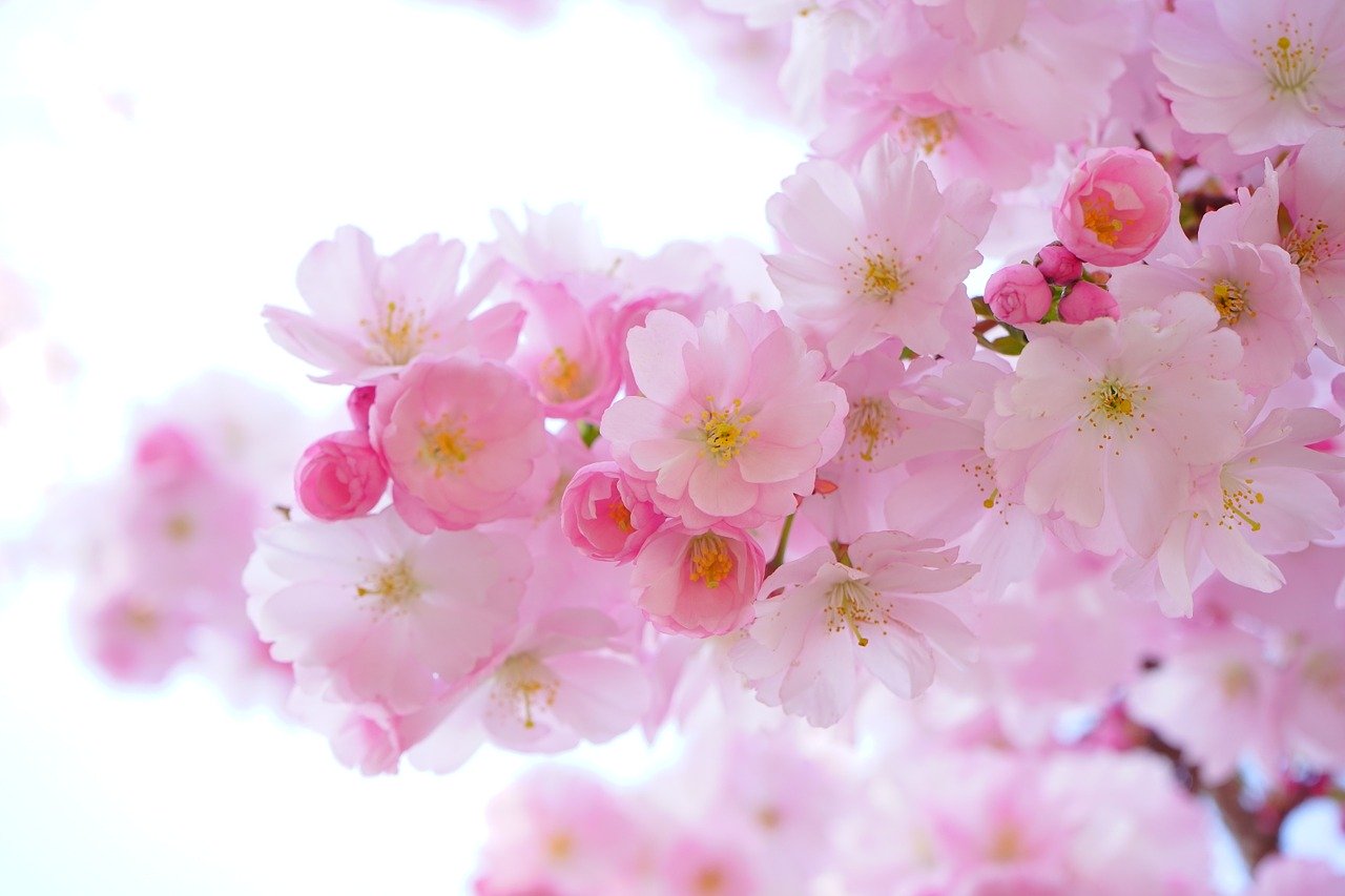 Wiosna, ach to ty! 7 powodów do radości, mimo wszystko!